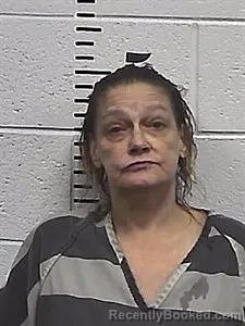 Mugshot of Sonja Jolene Free