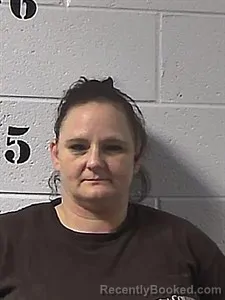 Mugshot of Amanda Nicole Twilley