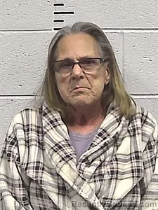 Mugshot of Patricia Ann Petellat