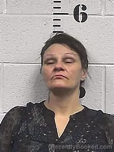 Mugshot of Jessica Lee Burge booked in Sharp County, Arkansas on April 1, 2026