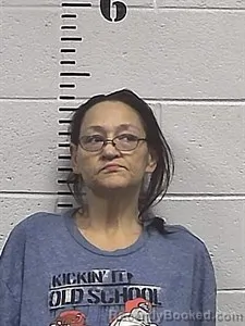 Mugshot of Crystal Ann Criner booked in Sharp County, Arkansas on April 1, 2026