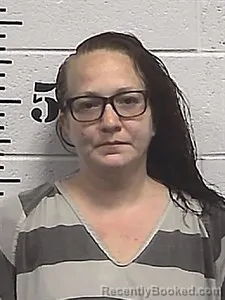 Mugshot of Marie Danielle Mcnaughton booked in Sharp County, Arkansas on April 1, 2026