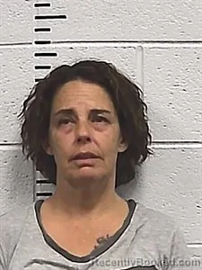 Mugshot of Ann Marie Cook booked in Sharp County, Arkansas on April 24, 2026