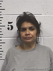Mugshot of Maria Gaualupe Castellanos booked in Sharp County, Arkansas on May 4, 2026