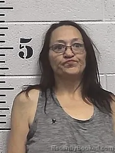 Mugshot of Crystal Ann Criner booked in Sharp County, Arkansas on May 4, 2026