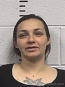 Mugshot of Taylor Dawn Hughes booked in Sharp County, Arkansas on May 4, 2026