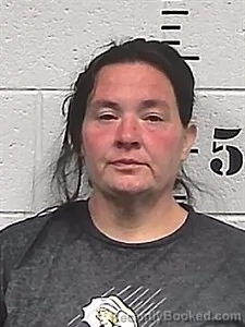 Mugshot of Kerrie Sparks booked in Sharp County, Arkansas on May 9, 2026