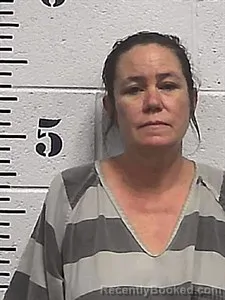 Mugshot of Rae Lauren Hall booked in Sharp County, Arkansas on June 12, 2026