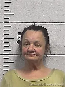 Mugshot of Brenda Lee Chilcutt booked in Sharp County, Arkansas on June 12, 2026