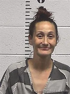 Mugshot of Amanda Nichole Garrett booked in Sharp County, Arkansas on June 13, 2026