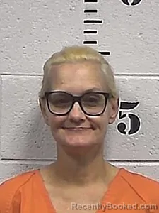 Mugshot of Brandy Lea Lambert booked in Sharp County, Arkansas on June 14, 2026