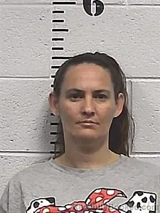 Mugshot of Sarah Jane Goodman booked in Sharp County, Arkansas on June 15, 2026