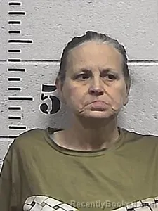 Mugshot of Kelley Winkle booked in Sharp County, Arkansas on June 17, 2026