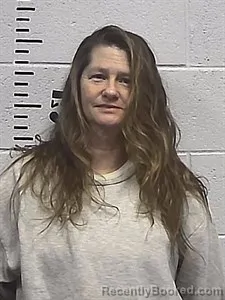Mugshot of Jennifer Delois Pollard booked in Sharp County, Arkansas on June 18, 2026