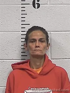Mugshot of Courtnie Maire Barratt booked in Sharp County, Arkansas on June 21, 2026