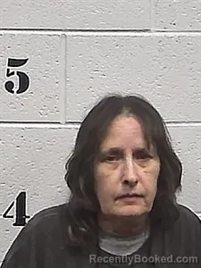 Mugshot of Sheila Templeton booked in Sharp County, Arkansas on June 23, 2026