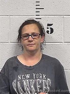 Mugshot of Amber Renea Johnston booked in Sharp County, Arkansas on June 27, 2026