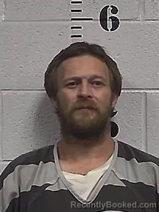 Mugshot of Boddie E Williams booked in Sharp County, Arkansas on July 3, 2026