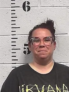Mugshot of Toni A Dewitt booked in Sharp County, Arkansas on July 3, 2026