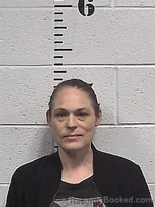 Mugshot of Anna Marie Laws booked in Sharp County, Arkansas on July 13, 2026