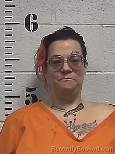 Mugshot of Shelley Ogland booked in Sharp County, Arkansas on July 29, 2026