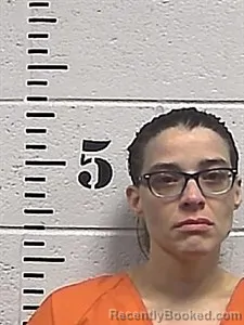 Mugshot of Danielle Elizabeth Richardson booked in Sharp County, Arkansas on August 1, 2026