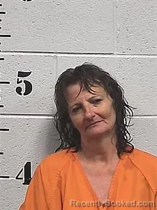 Mugshot of Jeri Lynn Slarrow booked in Sharp County, Arkansas on August 2, 2026