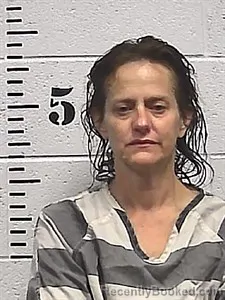 Mugshot of Tonya Sue Pospisil booked in Sharp County, Arkansas on August 4, 2026
