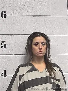 Mugshot of Samantha Jo Brink booked in Sharp County, Arkansas on August 19, 2026