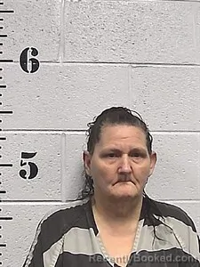 Mugshot of Nancy D Potter booked in Sharp County, Arkansas on August 19, 2026