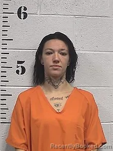 Mugshot of Madison Tyler booked in Sharp County, Arkansas on August 20, 2026