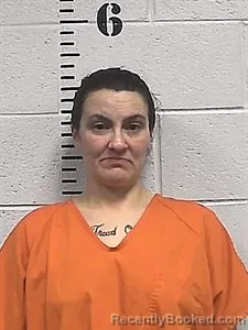 Mugshot of Ashley Jane Smith booked in Sharp County, Arkansas on August 21, 2026