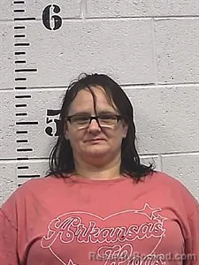 Mugshot of Amanda Nicole Twilley booked in Sharp County, Arkansas on September 3, 2026