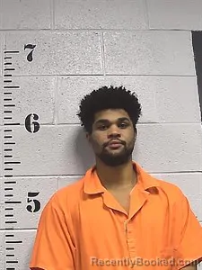 Mugshot of Dairyus Mcnorton booked in Sharp County, Arkansas on September 3, 2026