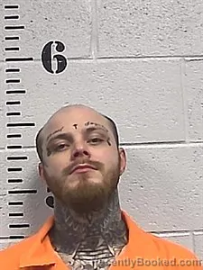 Mugshot of James Phillips booked in Sharp County, Arkansas on September 10, 2026