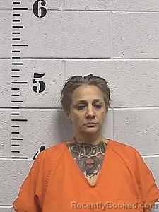 Mugshot of Jeannie Lynn Sisco booked in Sharp County, Arkansas on September 12, 2026