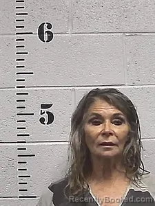 Mugshot of Janie S Baltz booked in Sharp County, Arkansas on September 14, 2026