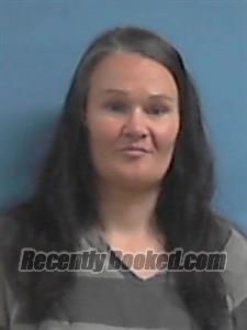 Booking photo from Stone County, Arkansas