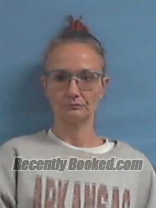 Booking photo from Stone County, Arkansas