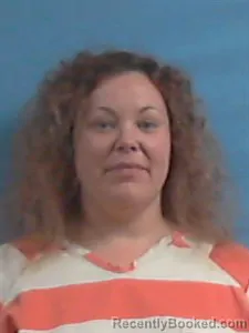 Booking photo from Stone County, Arkansas