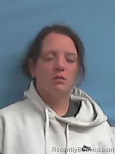 Booking photo from Stone County, Arkansas