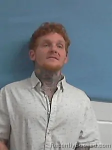 Mugshot of Shawn Ryan Ulery