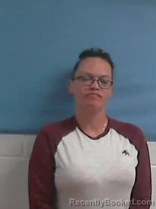 Mugshot of Sarah R HENRICKSON