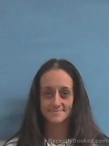 Mugshot of Ashley Nicole Adcock booked in Stone County, Arkansas on March 28, 2026