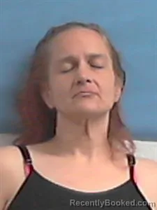 Mugshot of Shannon Nicole Leslie booked in Stone County, Arkansas on March 31, 2026