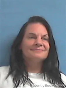 Mugshot of Nicole Marie Haynes booked in Stone County, Arkansas on March 31, 2026