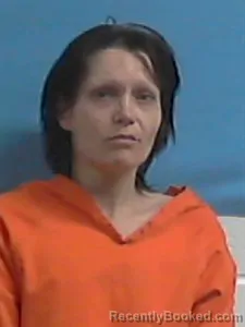 Mugshot of Rebecca Leann Havner-Morris booked in Stone County, Arkansas on April 1, 2026