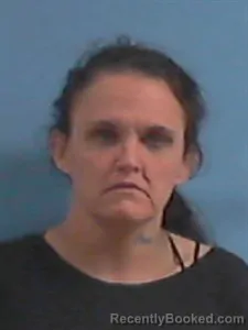 Mugshot of Jennifer Christine Harris booked in Stone County, Arkansas on April 5, 2026