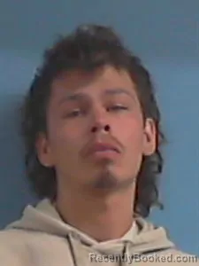 Mugshot of Harley Tobin booked in Stone County, Arkansas on April 18, 2026