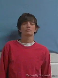 Mugshot of Trena JOANN WALLIS booked in Stone County, Arkansas on April 24, 2026